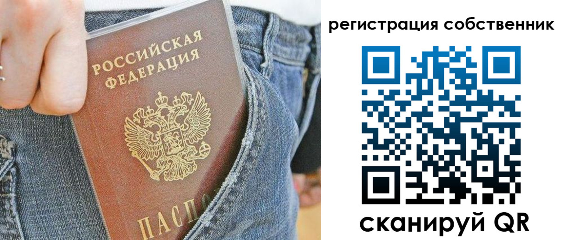 временная регистрация гарантия в Ермолино